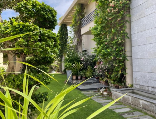 Private Residence  (Completed project)
